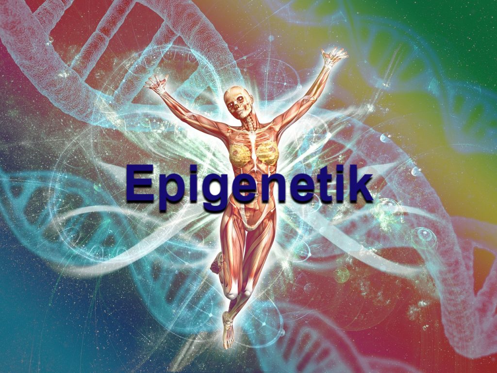 Faszien und die Epigenetik