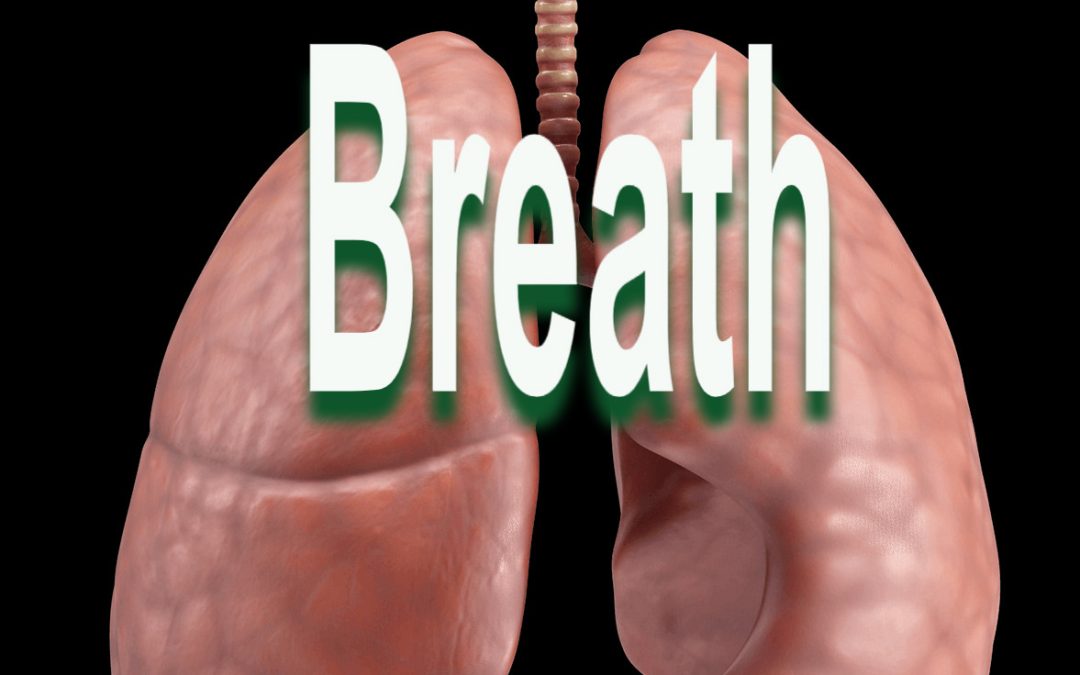 Pranayama – breath – breath