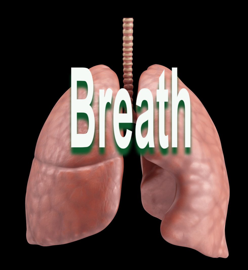 Pranayama - Breath - Atem - Personaltraining Mallorca
